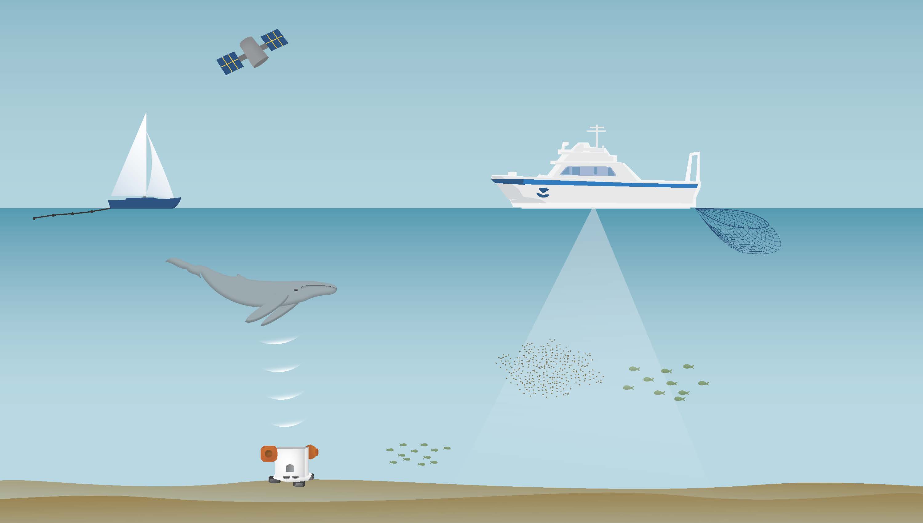 The ADEON data collection network of vessels, satellites, and ocean bottom landers