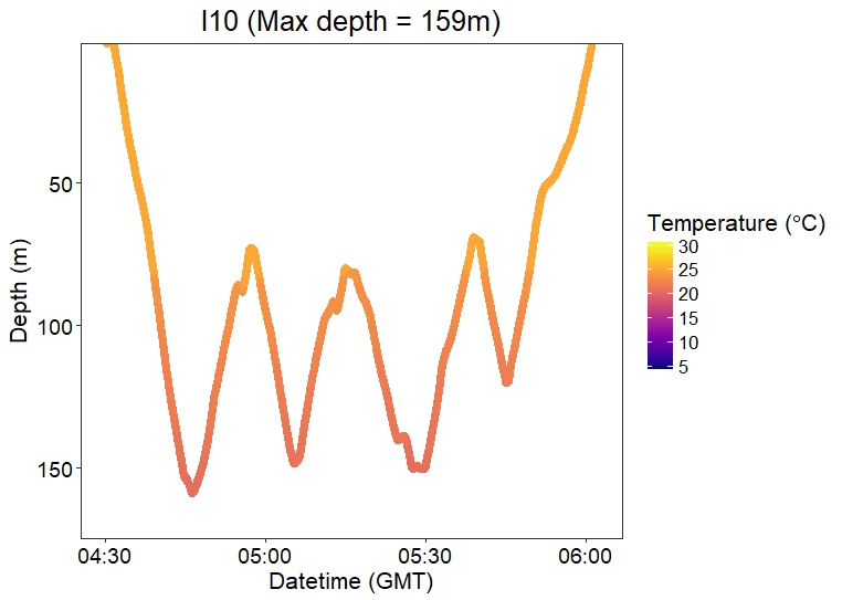 Depth Plot