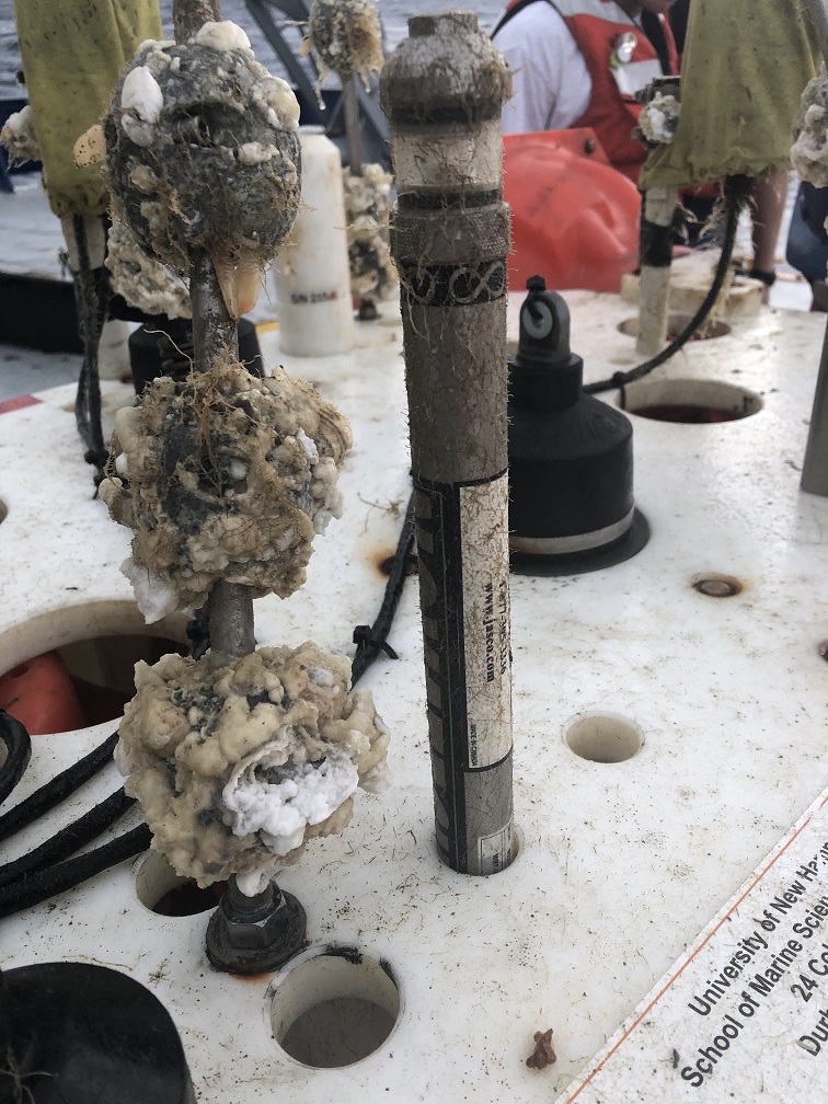 anode corrosion