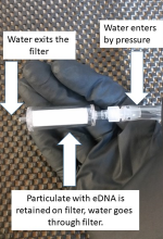 DNA filter